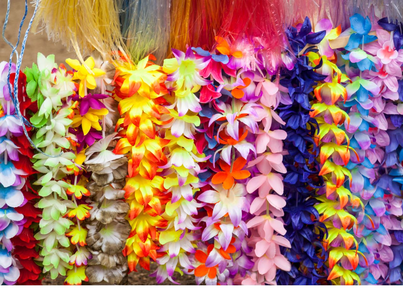 kolorowe sztuczne kwiaty z Ameryki Południowej